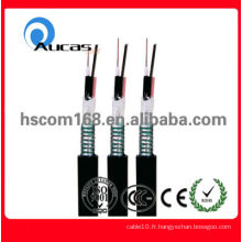 La qualité assure le meilleur prix Câble fibre optique monomode 12 core (extérieur et intérieur)